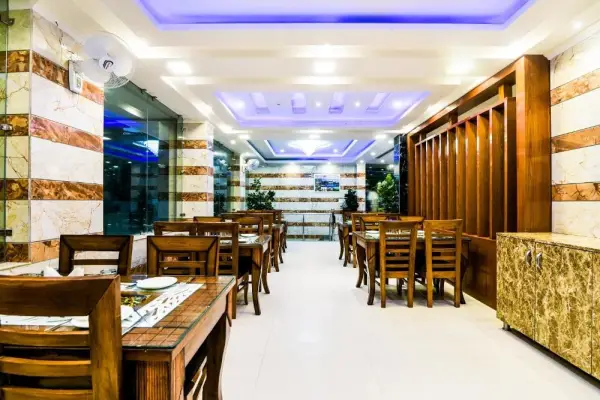 Hotel Pearl - Mahipalpur Delhi Airport 5